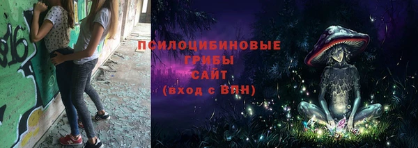 МДПВ Аркадак
