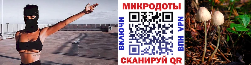 Псилоцибиновые грибы Psilocybe купить Козельск